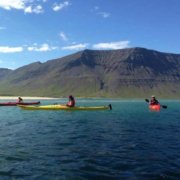 Iceland, Fjord Discovery Kayaking by Borea Adventures