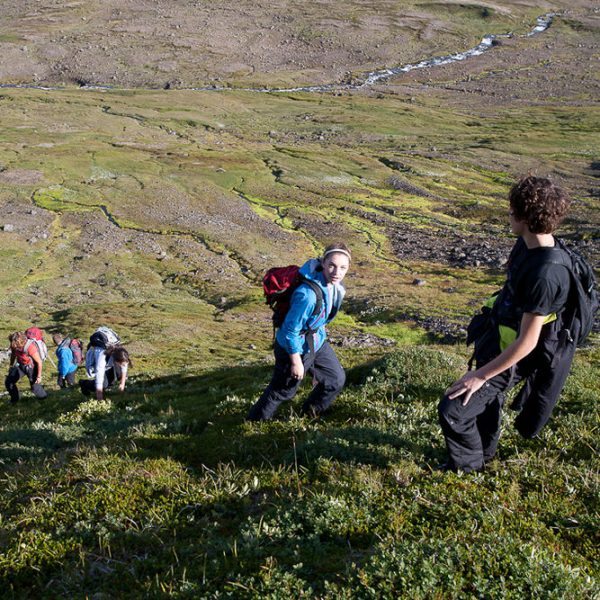 l_gallery532df69a40907