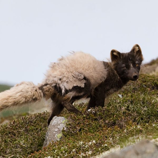 l_gallery532f550001347