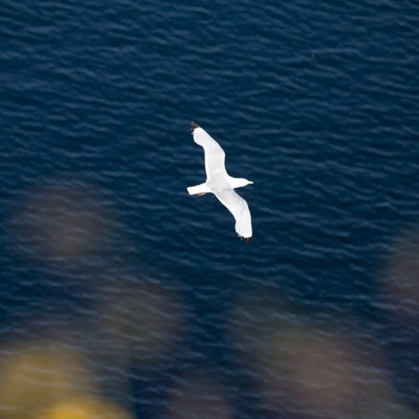 l_gallery5620ddcaa3e3b