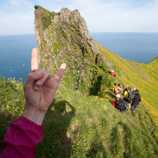 l_gallery5620ddcb9d6e5