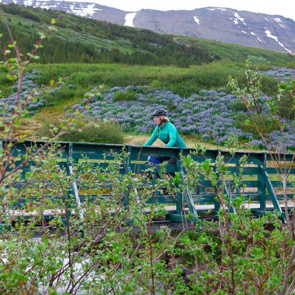 Iceland, Bike and Kayak Combo Tour by Borea Adventures
