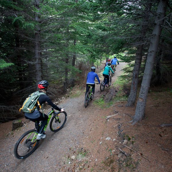 l_gallery575a9a7498390