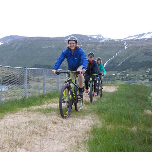 l_gallery575a9c39a3b29 (1)