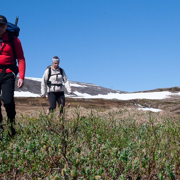 l_gallery5849fb43cae72