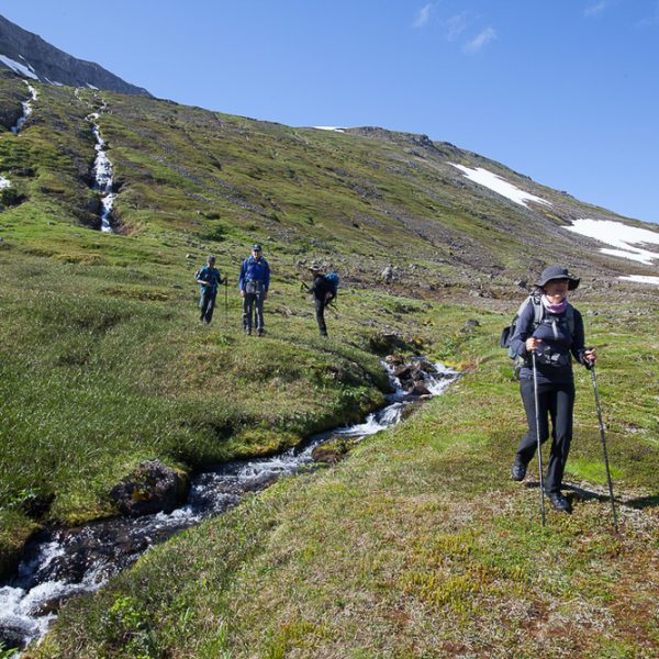 l_gallery5ba9175687fa1